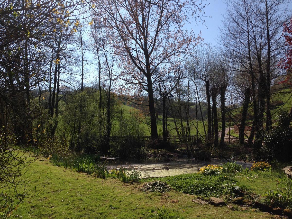 Bagnell Cottage Chiselborough Εξωτερικό φωτογραφία