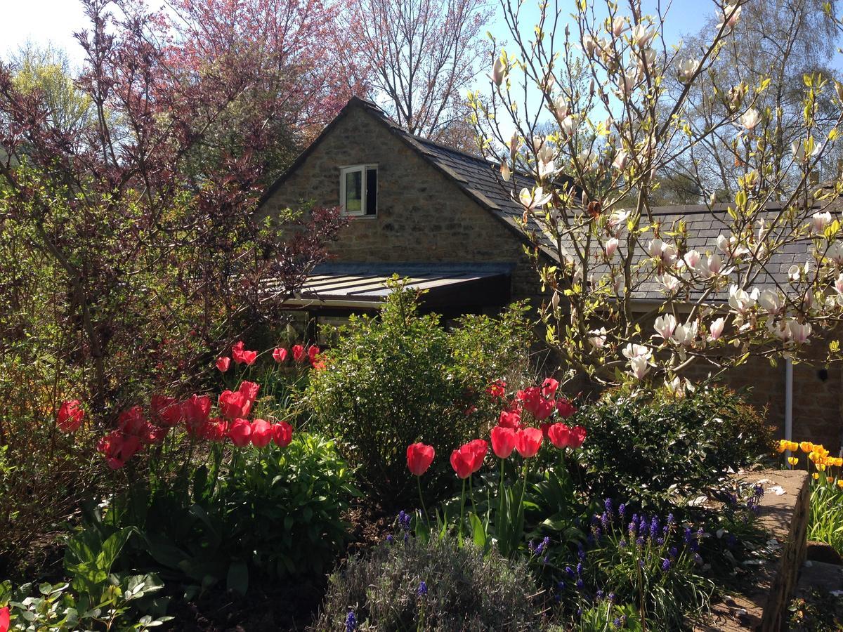 Bagnell Cottage Chiselborough Εξωτερικό φωτογραφία