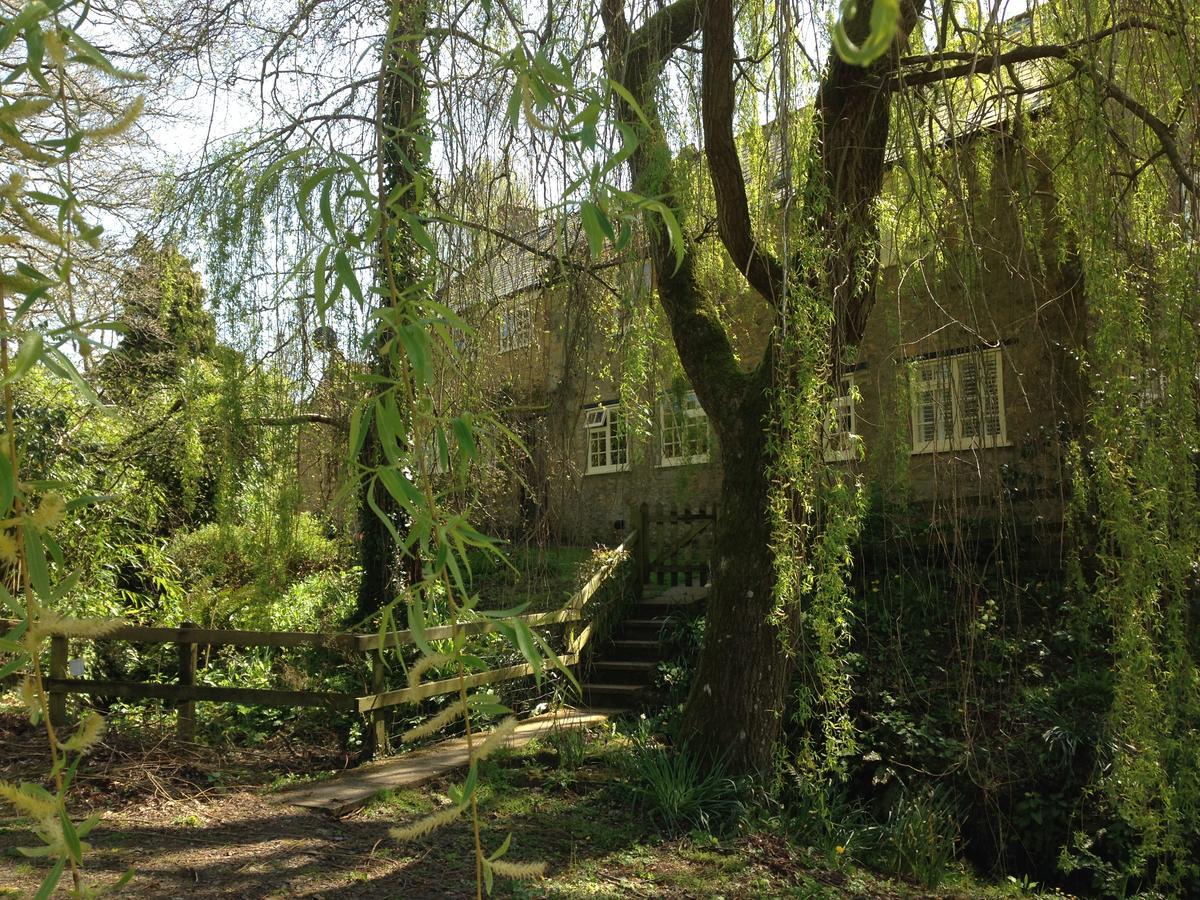 Bagnell Cottage Chiselborough Εξωτερικό φωτογραφία