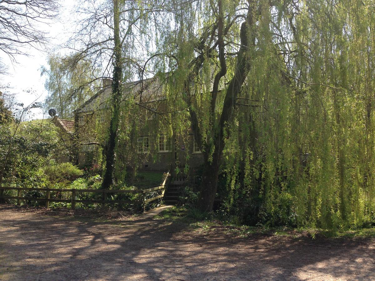 Bagnell Cottage Chiselborough Εξωτερικό φωτογραφία