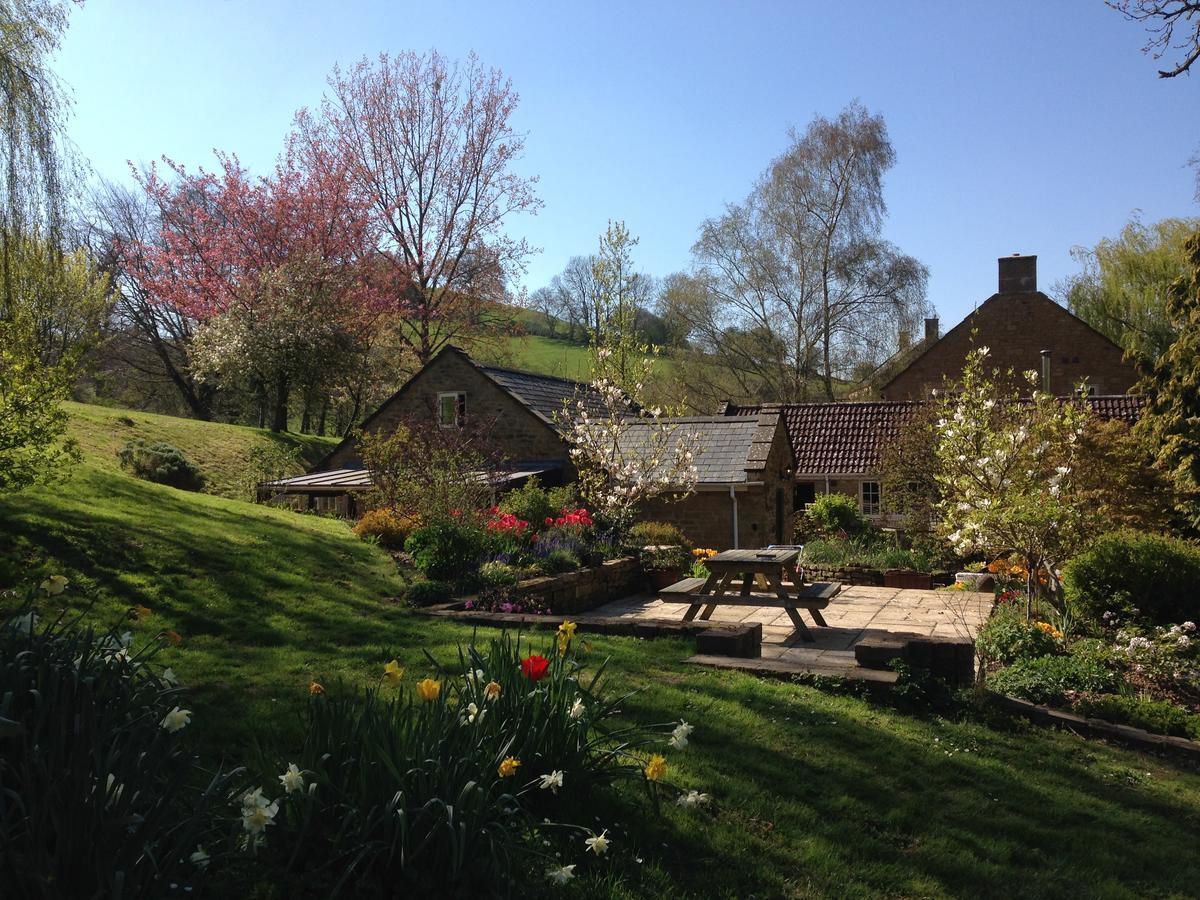 Bagnell Cottage Chiselborough Εξωτερικό φωτογραφία