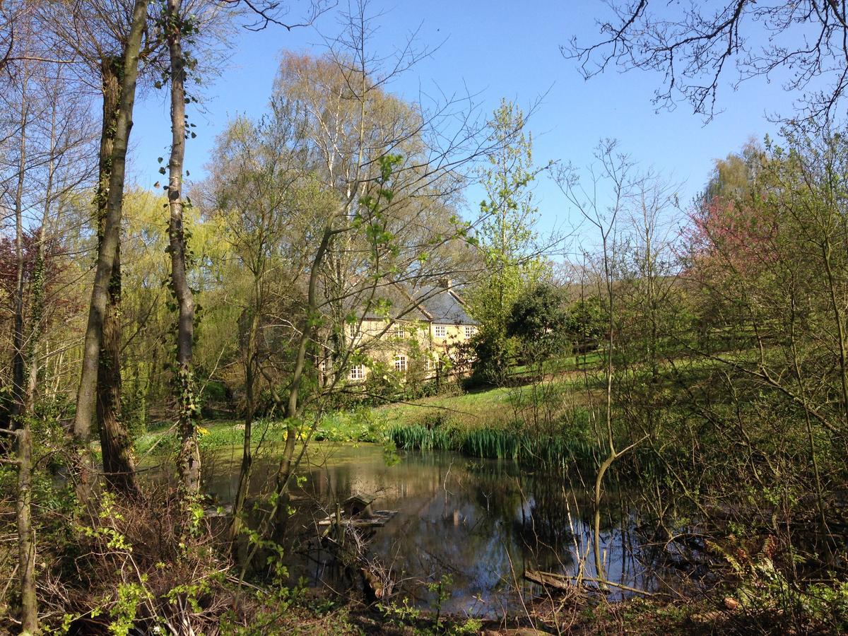 Bagnell Cottage Chiselborough Εξωτερικό φωτογραφία