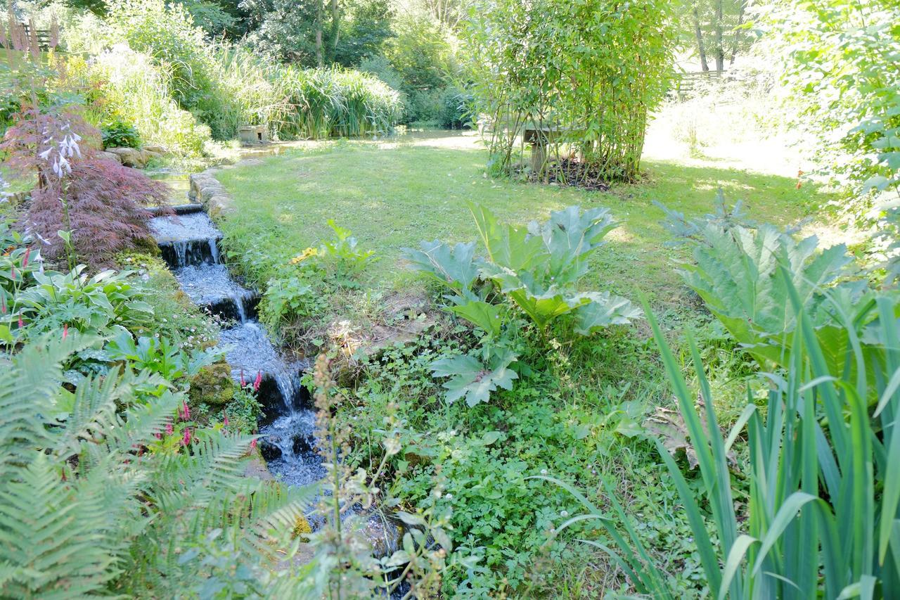 Bagnell Cottage Chiselborough Εξωτερικό φωτογραφία