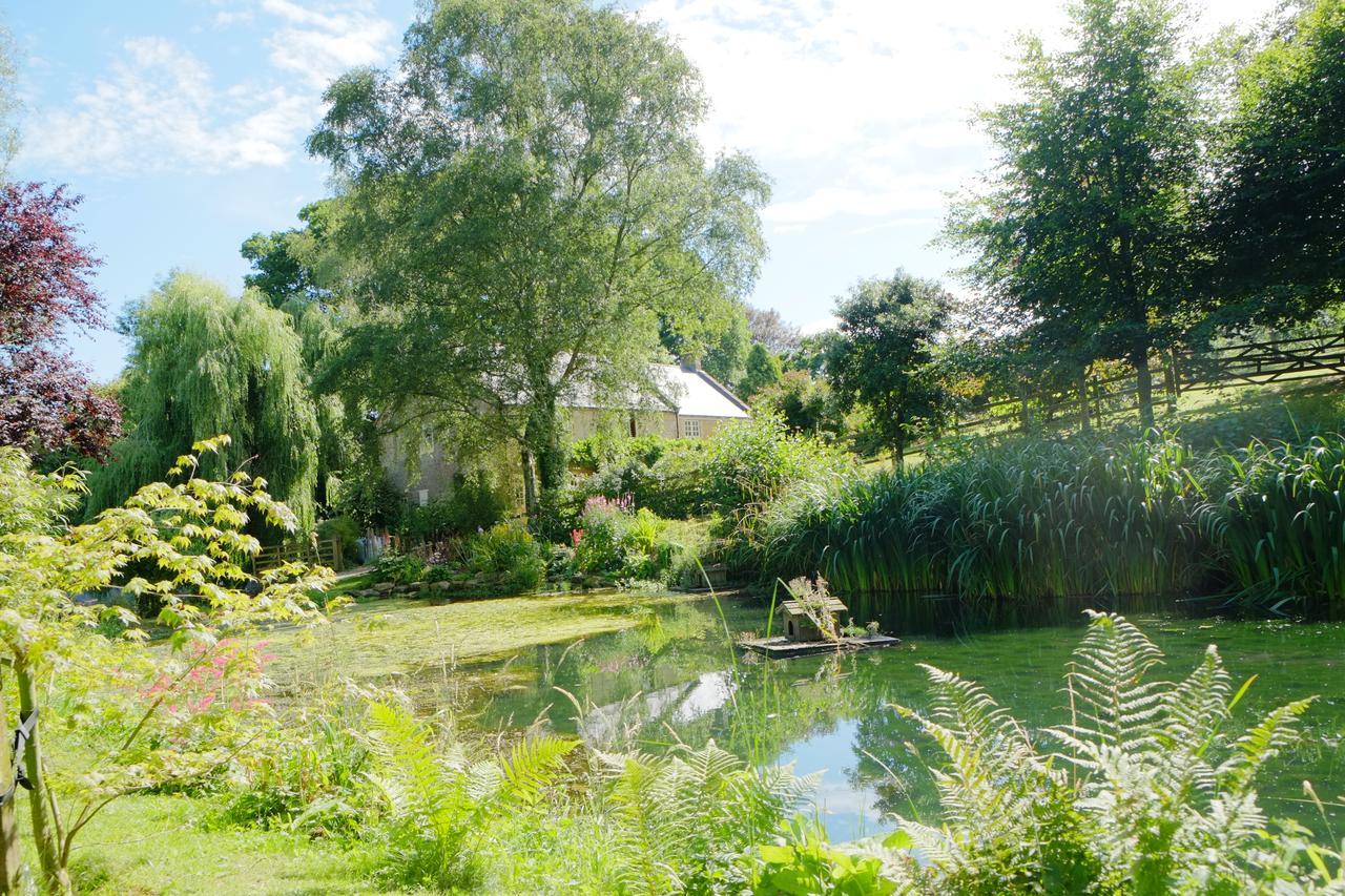 Bagnell Cottage Chiselborough Εξωτερικό φωτογραφία