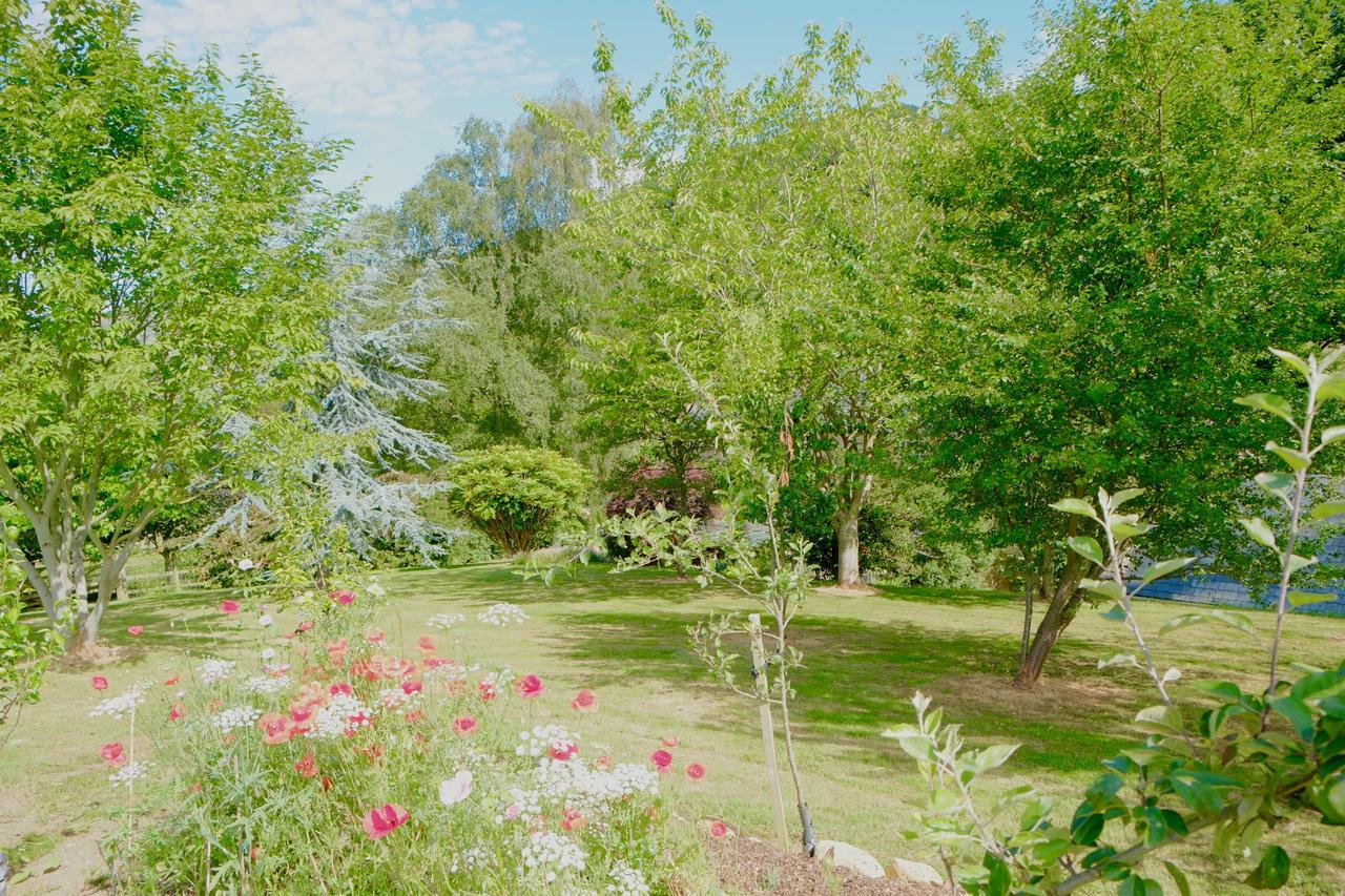 Bagnell Cottage Chiselborough Εξωτερικό φωτογραφία