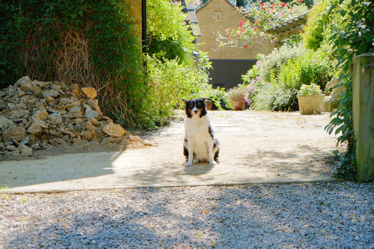 Bagnell Cottage Chiselborough Εξωτερικό φωτογραφία