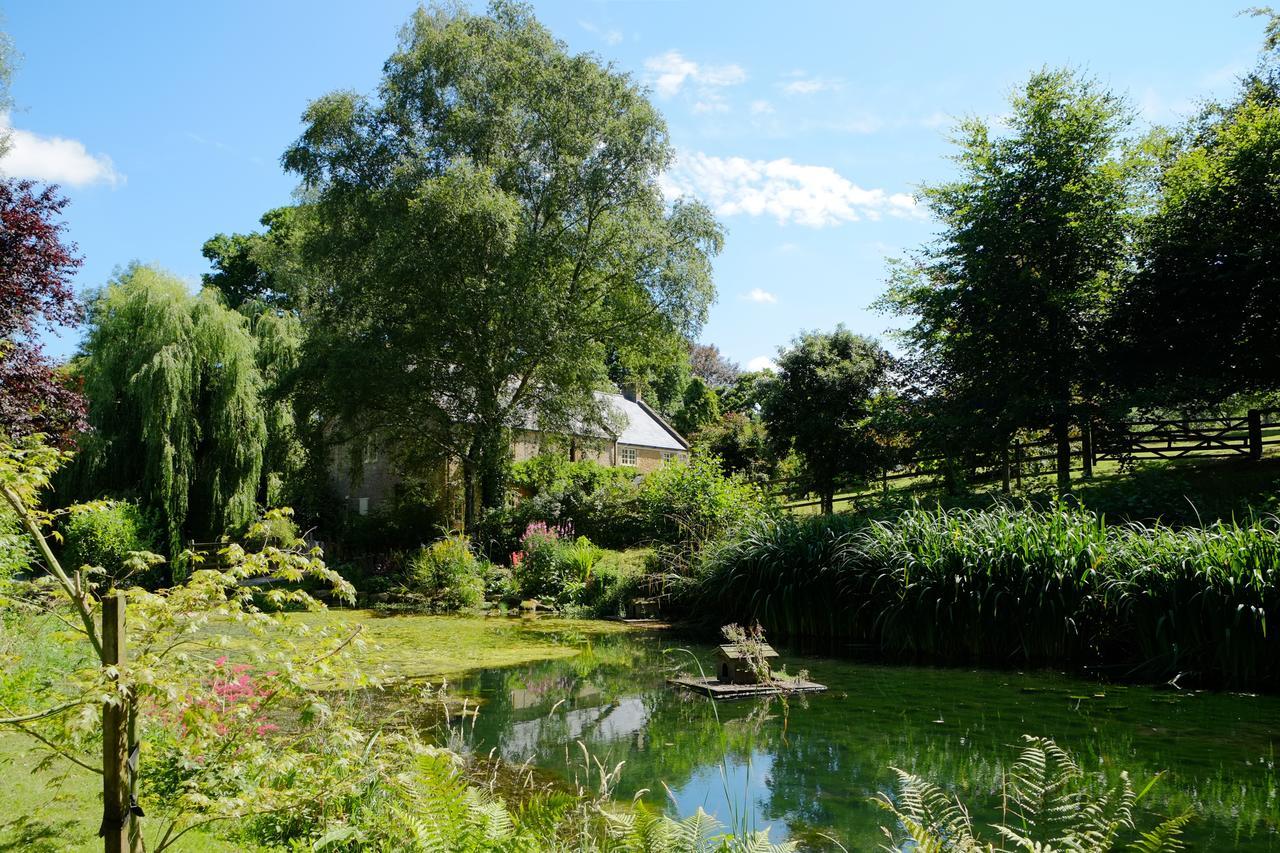 Bagnell Cottage Chiselborough Εξωτερικό φωτογραφία