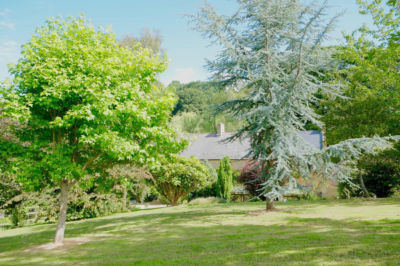 Bagnell Cottage Chiselborough Εξωτερικό φωτογραφία